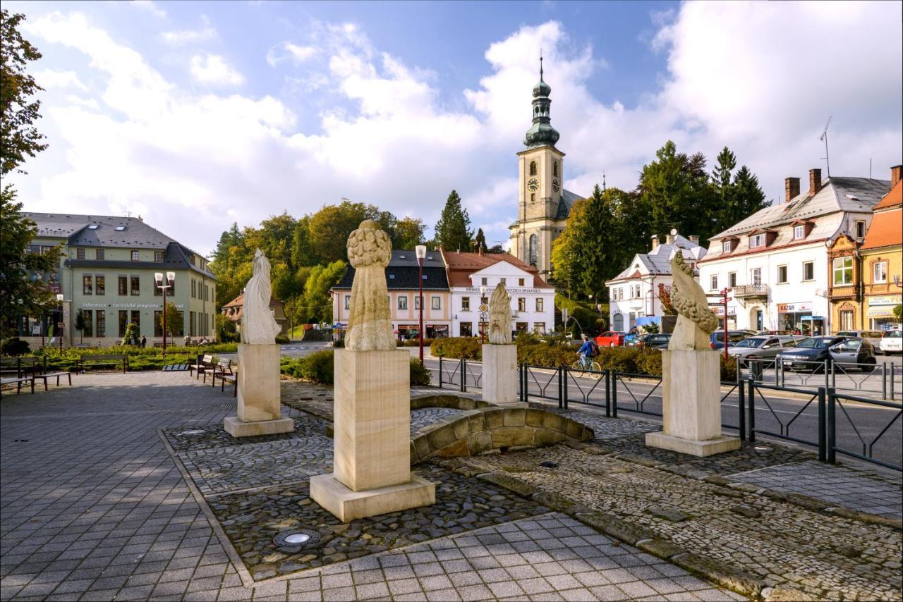 Apartman - Dum Ceskeho Svycarska Krásná Lípa Buitenkant foto