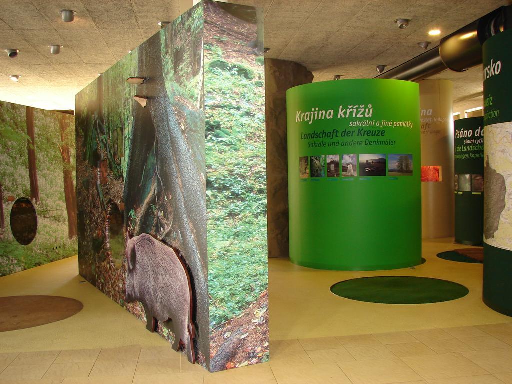 Apartman - Dum Ceskeho Svycarska Krásná Lípa Buitenkant foto